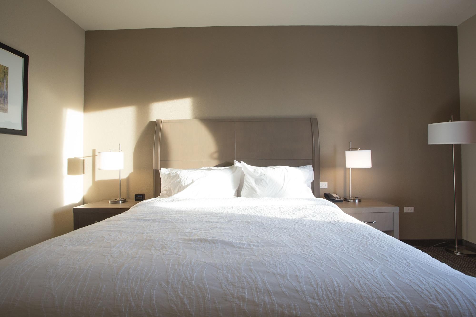 Hilton Garden Inn Bolingbrook I-55 Esterno foto